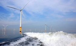Nghiên cứu thông tin các nhà đầu tư “đổ xô” làm điện gió ngoài khơi
