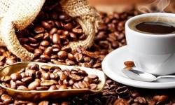 Giá cà phê hôm nay 6/1: Giảm 200 đồng/kg tại các vùng trồng trọng điểm