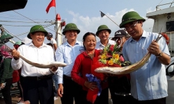 Vươn khơi đầu năm, ngư dân Quảng Trị trúng đậm “lộc biển” 7 tỷ đồng