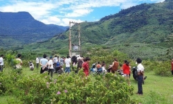 Quảng Bình: Học sinh lớp 5 bị điện giật tử vong khi trèo bắt tổ chim