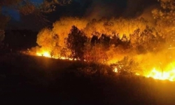 Cả nghìn người dập lửa cháy rừng liên tiếp ở Nghệ An và Hà Tĩnh