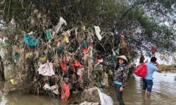Thu mua túi nilon, rác thải nhựa để xử lý môi trường sau lũ