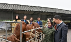 Báo Tiền Phong và nhà tài trợ trao 1 tỷ đồng hỗ trợ người dân vùng lũ Hà Tĩnh mua bò giống