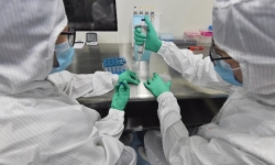 Bộ Y tế chỉ đạo về ca dương tính với virus SARS-CoV-2 mới tại Đà Nẵng