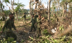 Lực lượng vũ trang tỉnh Thừa Thiên Huế ra quân khắc phục hậu quả do bão số 5 gây ra