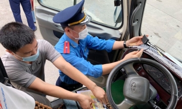 Hà Nội: Gần 600 phương tiện kinh doanh vận tải vi phạm không đóng tiền phạt