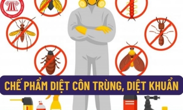 Bộ Y tế yêu cầu kiểm tra sản xuất kinh doanh chế phẩm diệt côn trùng