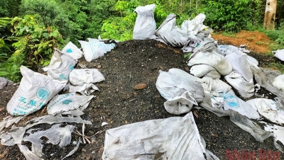 Nhiều bao chất thải lạ đổ trộm vào rừng ở Bắc Kạn