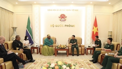 Việt Nam - Nam Phi: Tích cực thúc đẩy trên cơ sở quan hệ Đối tác vì hợp tác và phát triển