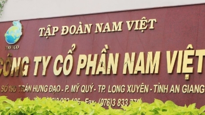 Nam Việt (AVN) nợ vay tăng 300 tỷ đồng trong nửa năm, chốt trả cổ tức bằng tiền mặt tỷ lệ 10%