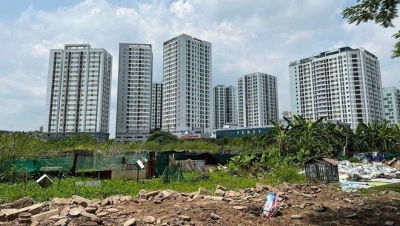 Hà Nội đề nghị thu lại 07 lô đất bỏ hoang gần 20 năm để xây trường học