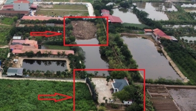 Huyện Phú Xuyên (Hà Nội): Hàng nghìn m2 đất nông nghiệp bị san lấp trái phép