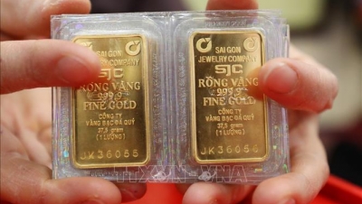 9 doanh nghiệp trúng thầu 7.900 lượng vàng miếng SJC