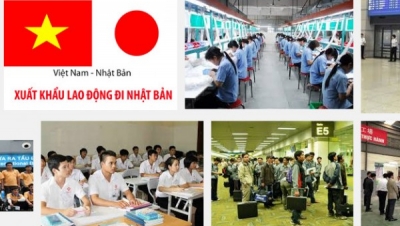 Lao động Việt Nam xuất khẩu nhiều nhất sang Nhật Bản