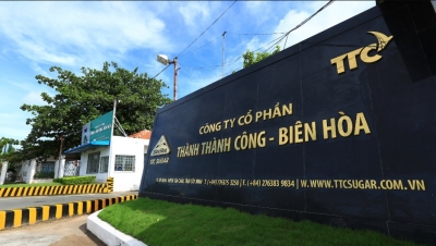 Thành Thành Công - Biên Hòa (SBT) lên kế hoạch phát hành 44 triệu cổ phiếu để trả cổ tức