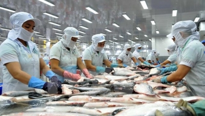 Xuất khẩu cá tra giảm ở thị trường lớn, tăng ở thị trường nhỏ