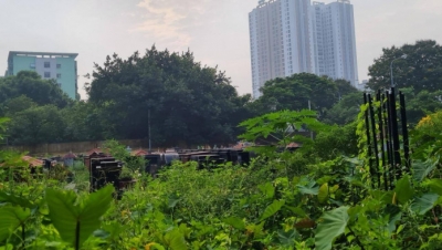 Quận Hoàng Mai kiến nghị TP Hà Nội thu hồi 7 lô đất để xây dựng trường học