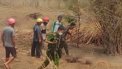 Gia Lai: Phát hiện thi thể người đàn ông trong vườn cao su