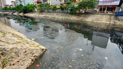Hà Nội lập xong đề án xử lý ô nhiễm sông Tô Lịch, Kim Ngưu