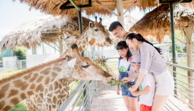 Tổ ấm của hơn 2.000 động vật hoang dã ở vườn thú lớn nhất Bắc Trung bộ