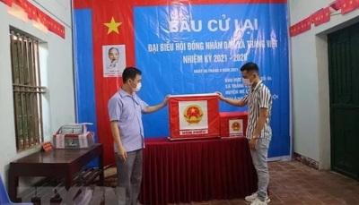 Hà Nội: Khai trừ khỏi Đảng Chủ tịch HĐND xã mang 75 phiếu bầu cử về nhà tự gạch