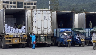 Hải quan Quảng Ninh: Kiểm soát tốt hoạt động buôn lậu qua biên giới