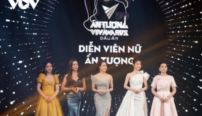 VTV Awards 2020: Hồng Diễm, Xuân Nghị đoạt giải Diễn viên ấn tượng