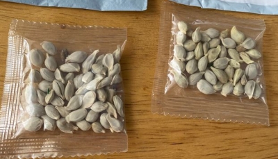 Amazon cấm bán hạt giống sau hàng loạt sự cố từ các gói hàng bí ẩn
