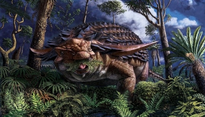 Phát hiện hóa thạch thức ăn trong bụng khủng long Kỷ Phấn Trắng