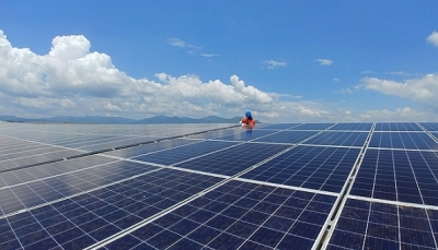 BIM Group chi 7.000 tỷ đồng xây tổ hợp điện mặt trời lớn nhất Đông Nam Á