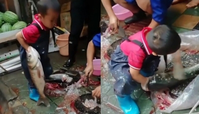 Xót xa cậu bé 7 tuổi đánh vảy cá thành thạo giữa chợ
