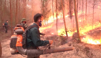 Nghệ An: Trắng đêm chữa cháy rừng
