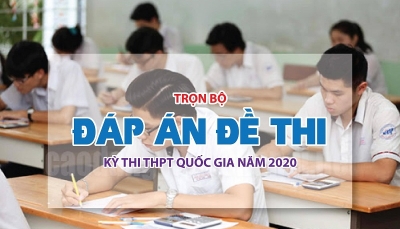 Đáp án đề thi tốt nghiệp THPT 2020 môn Sinh học (full 24 mã đề)