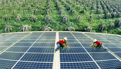 Thúc đẩy chuyển đổi năng lượng xanh, năng lượng tái tạo cho Việt Nam