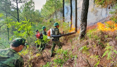 Quảng Ninh: Cháy rừng dữ dội trong ngày nắng nóng
