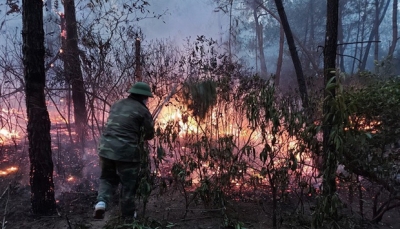 Nghệ An: Triệu tập nghi phạm đốt rác gây cháy rừng ở núi Con Voi