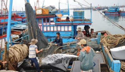 Quảng Nam: Học sinh nghỉ học, ngư dân về bờ tránh bão số 5