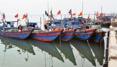 Hà Tĩnh: Gần 200 tàu thuyền cập bến trú bão số 5 an toàn