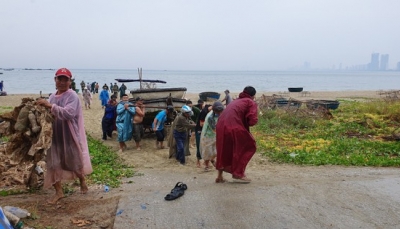 Đà Nẵng: Hỗ trợ ngư dân đưa tàu thuyền về nơi tránh trú bão số 5