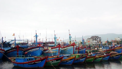 Bão số 5 sắp đổ bộ, Quảng Trị nghiêm cấm tàu thuyền ra khơi