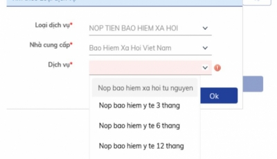 Bảo hiểm Xã hội Việt Nam phối hợp cùng ngân hàng BIDV triển khai nộp tiền trực tuyến