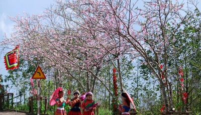 Mùa hoa đào nở, du khách hành hương về Tây Bắc dự Hội xuân mở cổng trời Fansipan