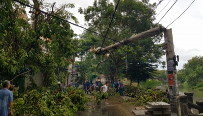 Thừa Thiên Huế: Bão số 5 đổ bộ, cây xanh đổ ngã khắp nơi, hệ thống điện hư hỏng nặng