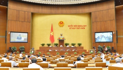 Quốc hội thảo luận về thí điểm tổ chức mô hình chính quyền đô thị tại Đà Nẵng