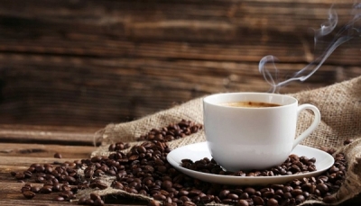 Giá cà phê hôm nay 2/2: Dự đoán sẽ trở lại ngưỡng 1.320 USD/tấn