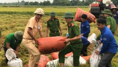 Các tỉnh Bắc Trung Bộ khẩn trương triển khai công tác ứng phó với bão Podul