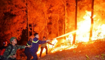 Đốt thực bì gây cháy rừng, một nông dân bị phạt 90 triệu đồng