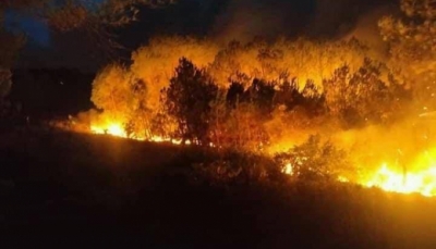 Cả nghìn người dập lửa cháy rừng liên tiếp ở Nghệ An và Hà Tĩnh