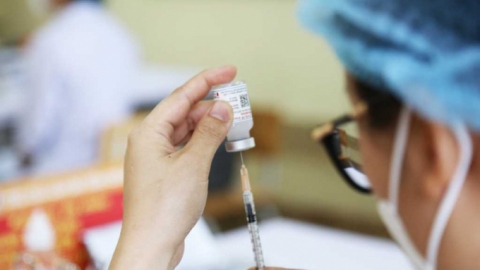 Cấp phép lưu hành vaccine sốt xuất huyết ở Việt Nam