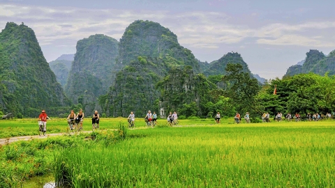 Truyền thông quốc tế nêu 4 trải nghiệm thú vị nhất định phải thử khi du lịch Việt Nam
